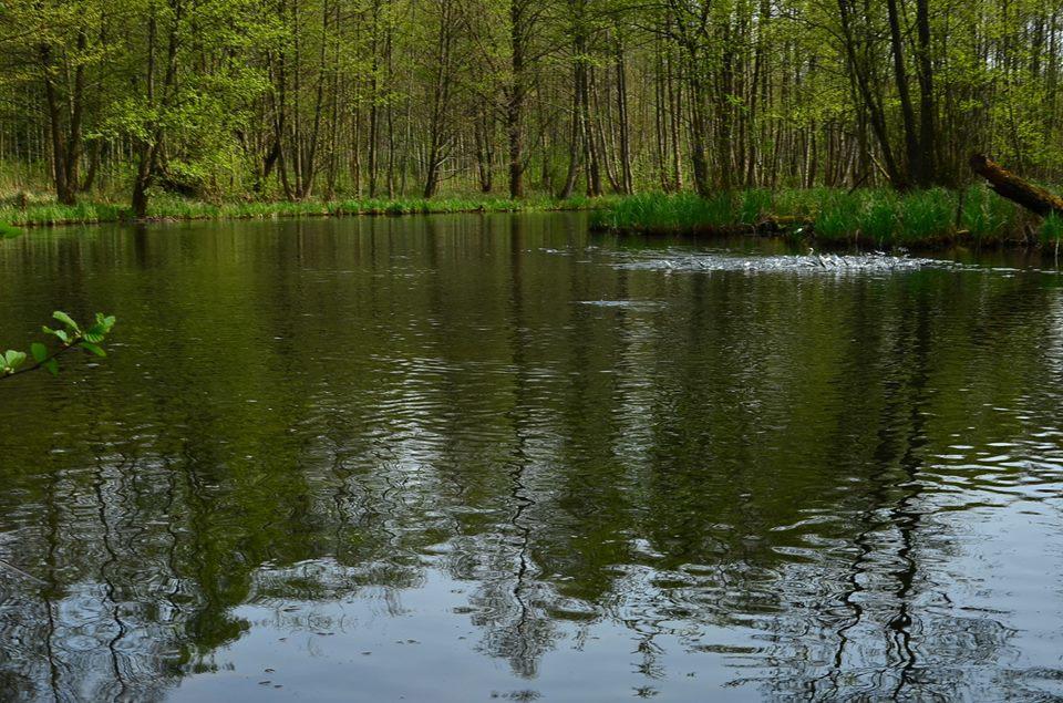 Gospodarstwo Nad Jeziorem Zalom  Luaran gambar